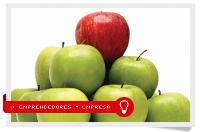 Posicionamiento web y marketing de contenidos