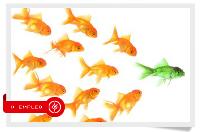 MARKETING PERSONAL:Cómo mejorar mi autocandidatura y red de contactos