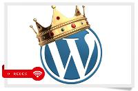 Comunica con Blog Wordpress. Lecciones Básicas.