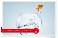 No master.  Requisitos para emprender. De la idea al negocio