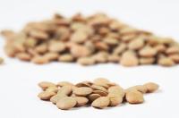 Diálogos TRANS SOCIAL EXPRESS con Gema Rupérez. Narraciones poéticas