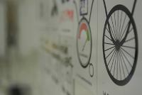 Coformación. ¿Qué es una Coformación?