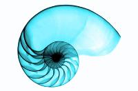 Coformación: Belleza y eficacia en el diseño: La Geometría