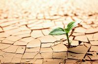 Si tengo resiliencia tengo trabajo