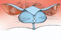 Anónimos y Múltiples VI - David Guirao