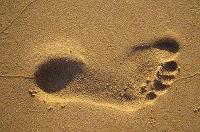 Coformación. Primeros pasos para empezar mi negocio