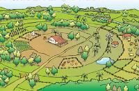 Coformación. Introducción a la permacultura