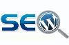 SEO para Wordpress