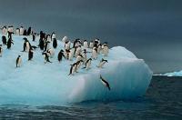 Emprender aliándose con el miedo