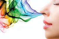 Coformación. Los perfumes para potenciar tu negocio o tu marca personal