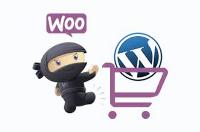 Turbo WordPress y Woocommerce
