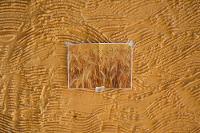 Córner 5 - Lorena Cosba en Las Armas