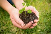 Taller familiar de agricultura ecológica