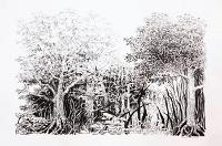 Córner 5 - Sylvia Pennings en Las Armas