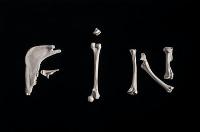 Córner 2019 - Miguel Ángel Gil