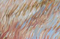 Diarios Urbanos. ¡Ponle Color!