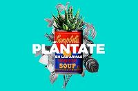 Plántate en Las Armas