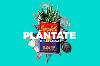 Plántate en Las Armas