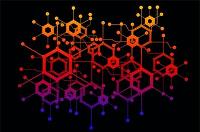 Coformación. Escalar tu negocio en el medio digital (Online)