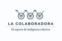 Coasesoría Neima Pidal