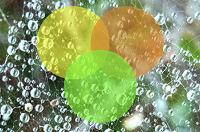 Ecosistemas conscientes para la transformación social