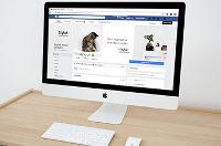 Diseñar publicaciones con estilo (coherentes con tu imagen de marca)