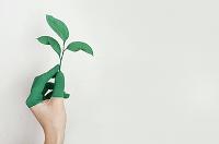 La Integración. Creación de tu proceso de cambio y cuidado post programa.