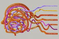 Neurociencia y empresa: aprendizajes para ser más eficaces
