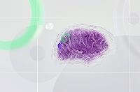 Neurociencia y empresa: neuromarketing