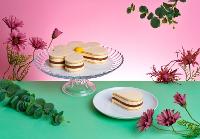 Vídeo estratégico para redes: piezas breves que muestran tu marca